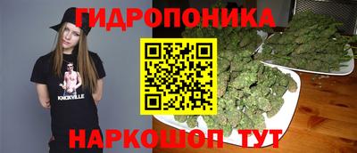 спайс Гусев